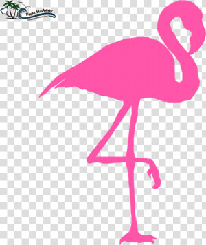 Pink Flamingo   Cliparts   Co   Clipart Flamingo Png  Transparent Png