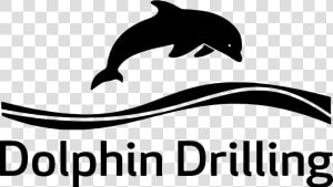 Transparent Dolphin Silhouette Png   Dolphin Drilling Logo  Png Download