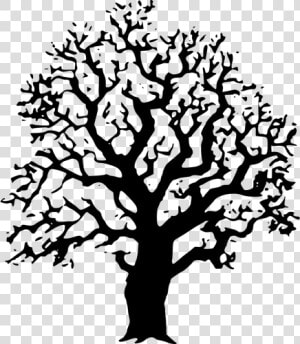 Oak Tree Vector Image   Cool Tree Clipart Black And White  HD Png Download