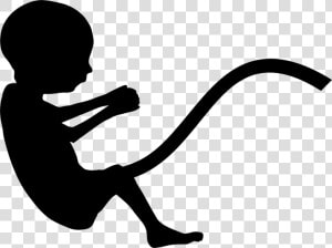 Fetus Png   Fetus Silhouette Png  Transparent Png