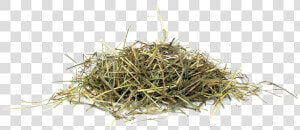 Hay Png Picture   Grass Hay Png  Transparent Png