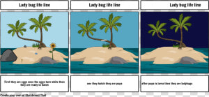 Storyboard  HD Png Download