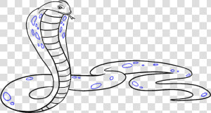 How To Draw Cobra   Draw A Cobra Snake  HD Png Download