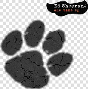  edsheeran  onetakeep  albumedsheeran  ed  sheeran   Ed Sheeran Cat Paw  HD Png Download