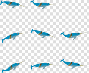 Narwhal   Marlin  HD Png Download