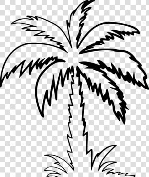 Symmetry monochrome Photography flowering Plant   Palm Tree Clipart Outline  HD Png Download