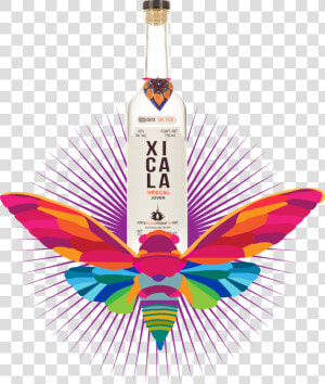 Xicala Mezcal  HD Png Download