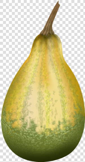 Png File Vectors Pinterest   Gourd  Transparent Png