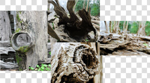 Premium Quality Driftwood   Driftwood  HD Png Download