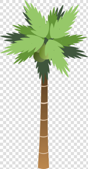 Palm Tree Png   Ascending And Descending Numbers  Transparent Png