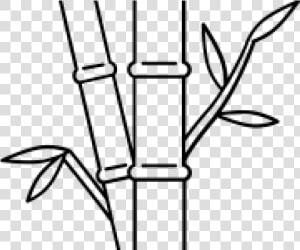 Drawn Bamboo Bamboo Stick   Line Art  HD Png Download