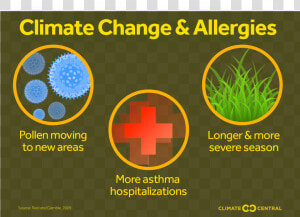 Allergies From Climate Change  HD Png Download