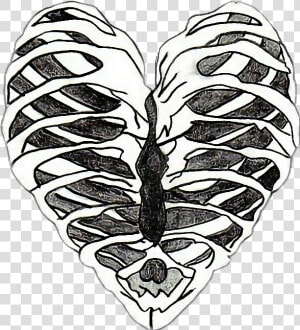 Bones Drawing Heart   Skeleton Heart Drawing  HD Png Download