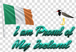 Ireland Flag Png   Seabird  Transparent Png