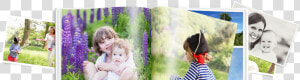 Family Photo Book   Toddler  HD Png Download