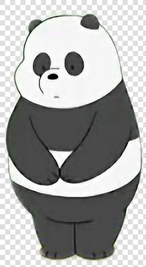  webarebears  🐻  panda  cn  cartoonnetwork  pfp  cute   Panda De Cartoon Network  HD Png Download