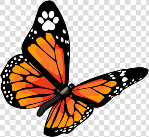 Vts Buttefly Transparent Bg Cropped   Monarch Vet Tech Services  HD Png Download