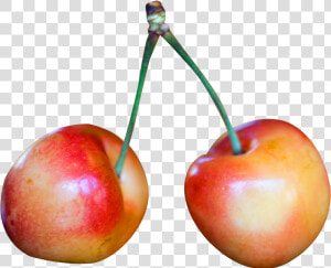 Rainier Cherries Png Image   Rainier Cherry Png  Transparent Png