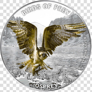 Niue 2013 2  Osprey Birds Of Prey Proof Silver Coin   Osprey Hunting  HD Png Download