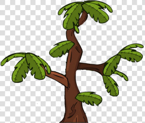 Jungle Tree Png   Clip Art Jungle Tree  Transparent Png