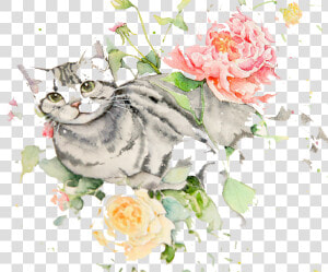 Png Black And White Library Jazz Drawing Watercolour   Cat And Flowers Drawings  Transparent Png