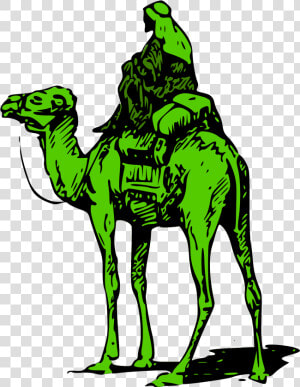 United Camel Darknet Bitcoin States Road Silk Clipart   Dark Web Silk Road Logo  HD Png Download