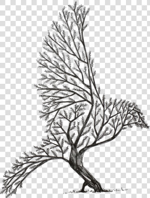 Transparent Tree Drawing Png   Cool Tree Drawing Easy  Png Download