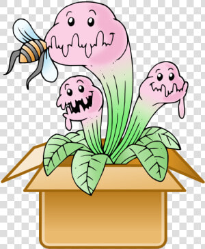 Mystery Box Title Mystery Box   Venus Fly Trap Cartoon  HD Png Download