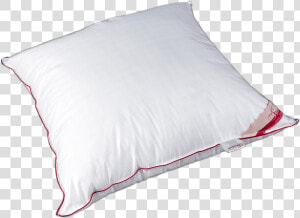 Pillow Png   Throw Pillow  Transparent Png