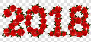 2018 En Rosas   Png Download   2018 Rosas  Transparent Png