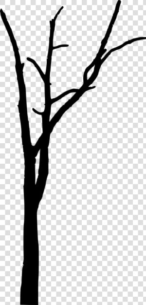 Trees Without Leaves Png   Spooky Trees Silhouette Bare  Transparent Png