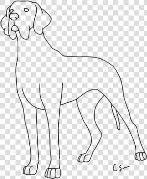 Coloring Pages For Kids And For Adults   Coloring Pictures Of Great Dane  HD Png Download