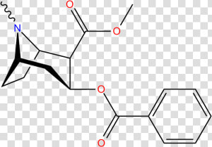 Cocaine Structure   Structure Of Coca Alkaloid  HD Png Download