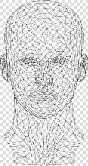 Low Poly Female Head   Wireframe Human Head Png  Transparent Png