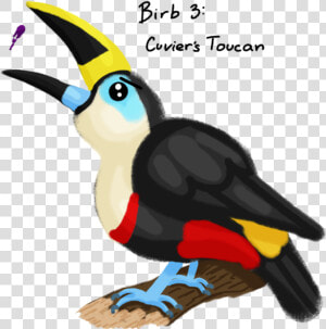 Collection Of Free Birds Download On Ubisafe   Toucan  HD Png Download