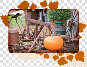 Transparent Hayride Png   Pumpkin  Png Download