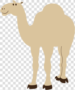 Colorful Animal Camel Geometry 555px   Camel Picture No Background  HD Png Download