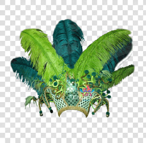 Corona De Plumas Png  Transparent Png