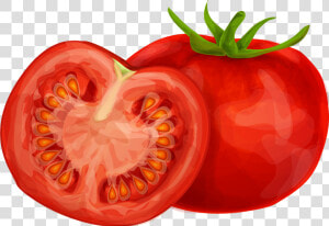 Tomato Clipart Png Image 01   Tomato Clipart  Transparent Png