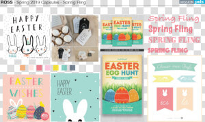 Rs 191 Springfling Capsule Packaging Designs V02   Star Is Born  HD Png Download