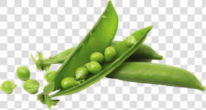 Snap Pea  HD Png Download