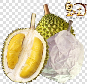 Transparent Durian Png   Musang King Png  Png Download