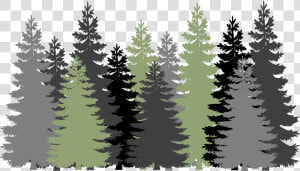 Forest  Trees  Evergreen  Conifers  Pines  Gray  Green   Pine Tree Forest Svg  HD Png Download