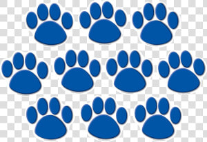 Blue Paw Prints Accents Tcr4275 Teacher Created Resources   Paw Print School Bulletin Board  HD Png Download