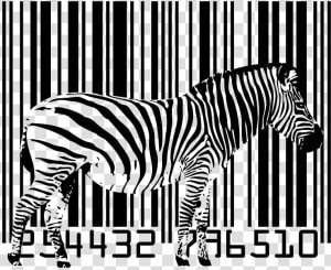 Tener En Cuenta El Tamaño Para No Perder Nuestro Código   Zebra Barcode  HD Png Download