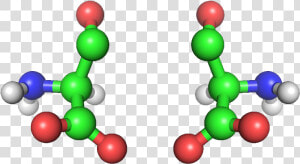 Amino Acid Structure Png Clipart   Amino Acids Png  Transparent Png