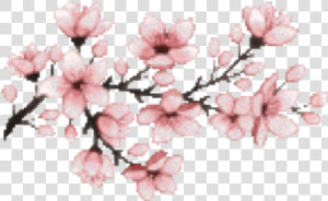  flower  pink  sakura  japan  pixel   Pixel Cherry Blossom Png  Transparent Png