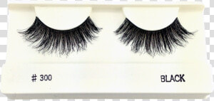 Eyelash Extensions  HD Png Download