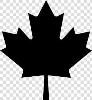 Flag Of Canada T shirt Maple Leaf   Black Maple Leaf Vector  HD Png Download