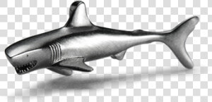 Bronze Hammerhead Shark  HD Png Download